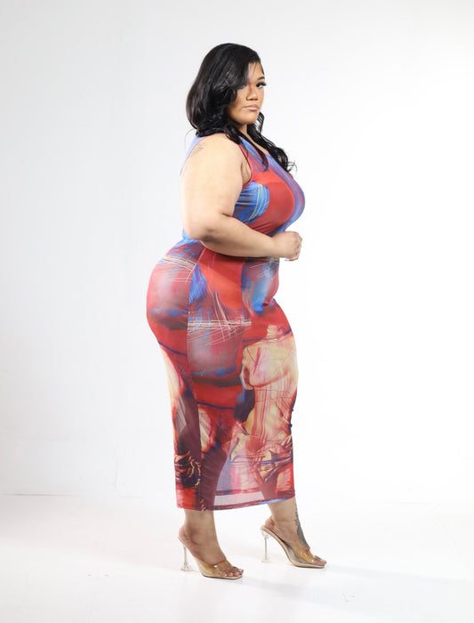 Art of Gallery sheer dress (XL-4x)