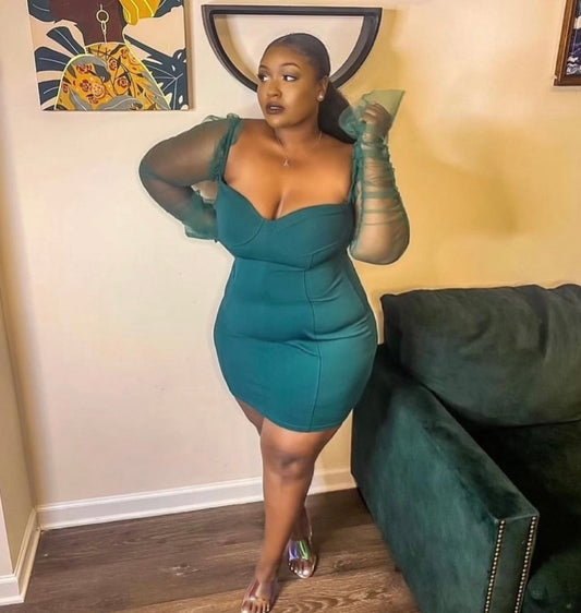 Sheer puff sleeve dress (Green, Black and Pink) Small-2x